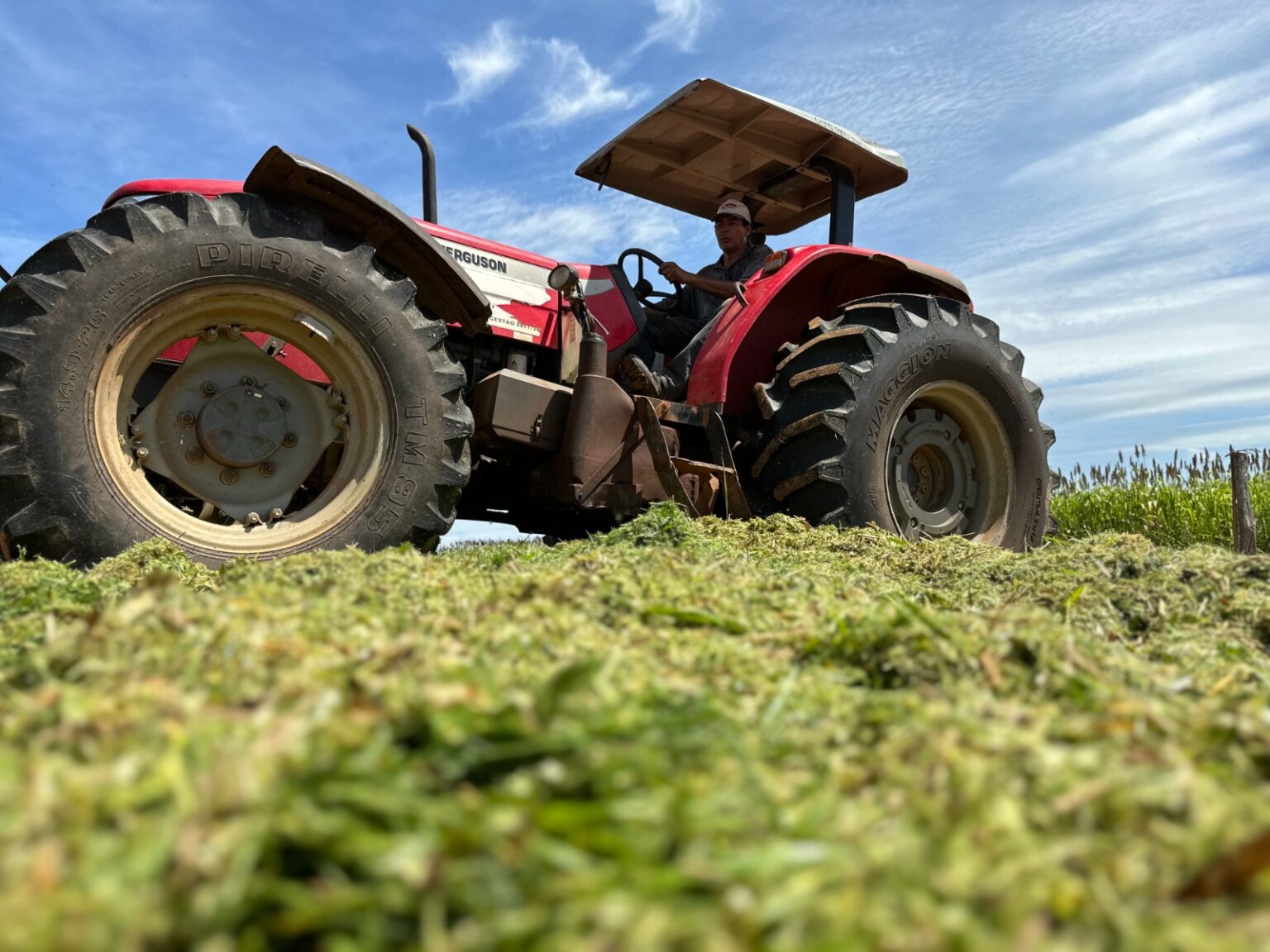 Prefeitura de Porangatu destaca avanços na agricultura local através de iniciativas inovadoras e suporte constante